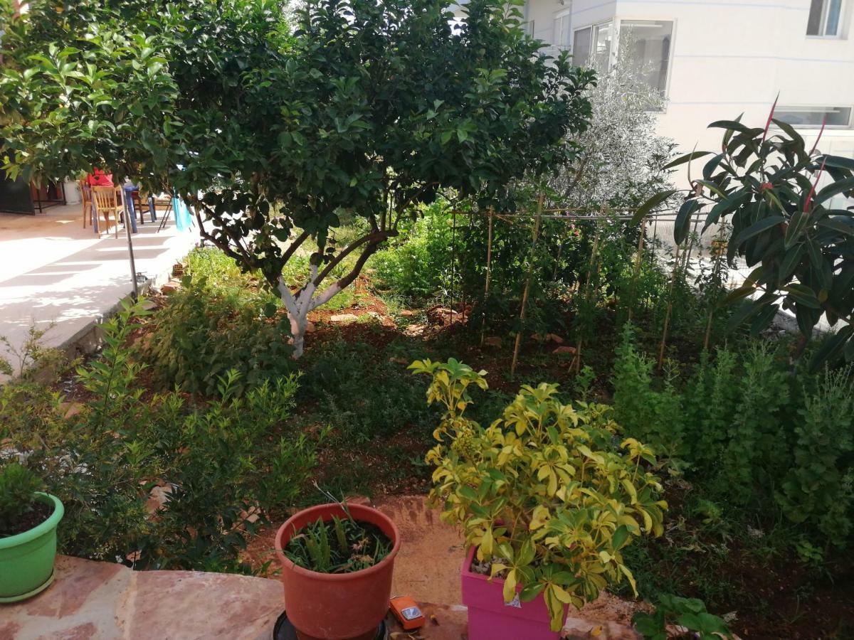 Helen'S House Daire Ksamil Dış mekan fotoğraf